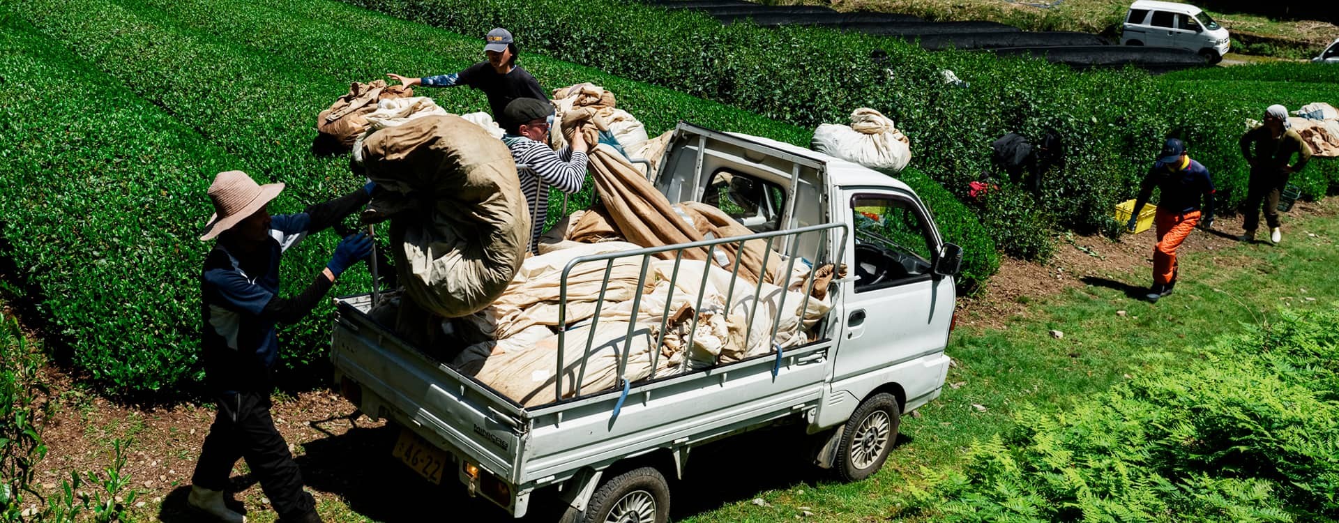 Čajová farma v Uji: Domov prémiového čaje IkigaiTea